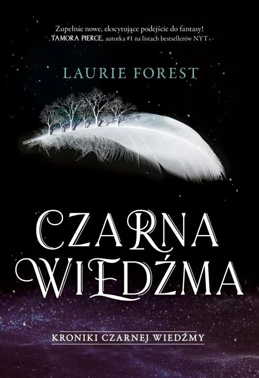 Czarna Wiedźma. Kroniki Czarnej Wiedźmy. Tom 1 - tantis.pl