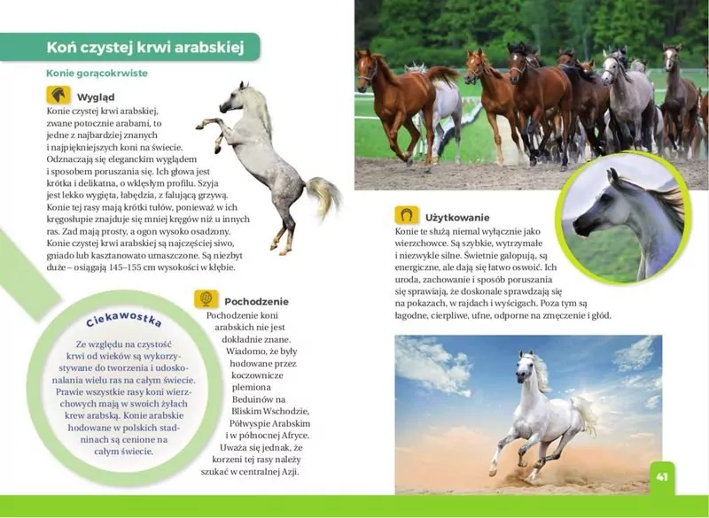 Jaki to koń? Atlas dla dzieci - tantis.pl