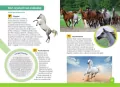 Jaki to koń? Atlas dla dzieci - tantis.pl