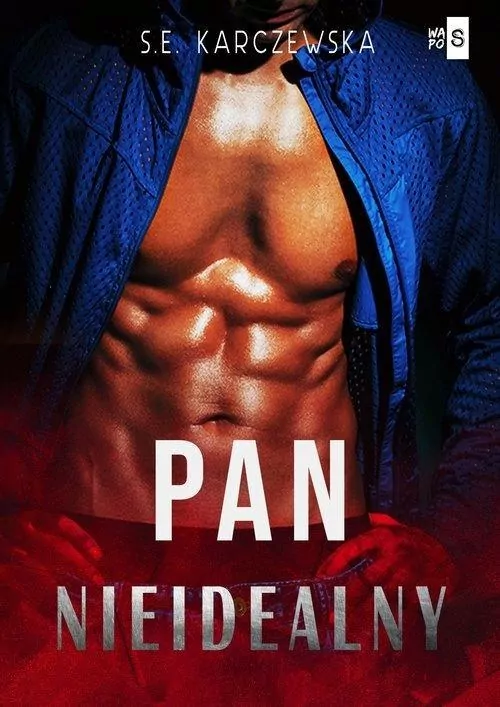 Pan nieidealny - tantis.pl