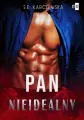 Pan nieidealny - tantis.pl