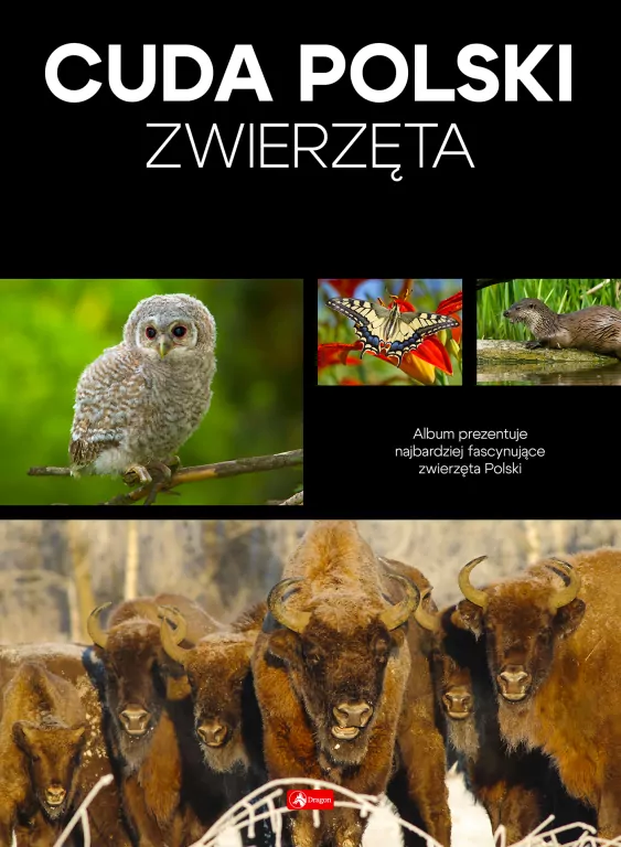 Cuda Polski. Zwierzęta - tantis.pl
