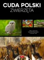 Cuda Polski. Zwierzęta - tantis.pl