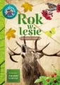Rok w lesie. Młody obserwator przyrody - tantis.pl