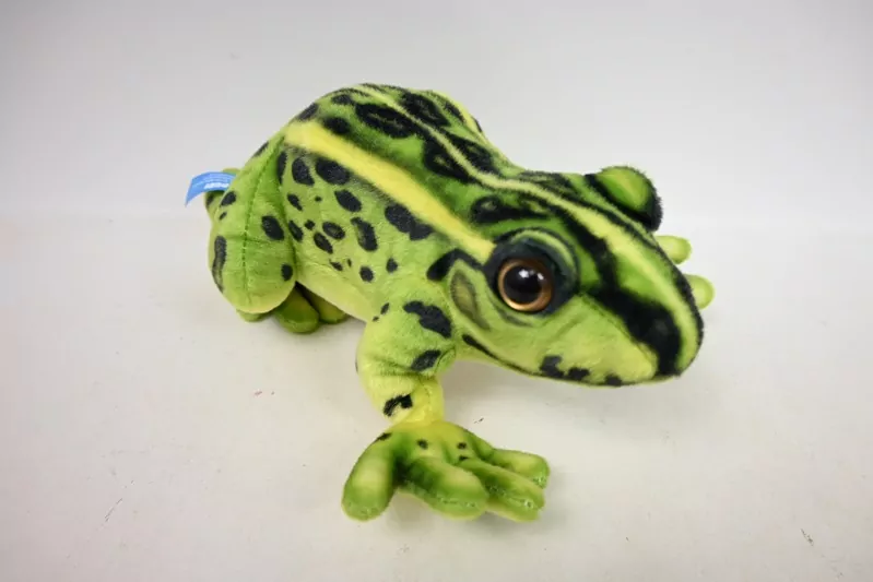 Żaba 28cm - tantis.pl