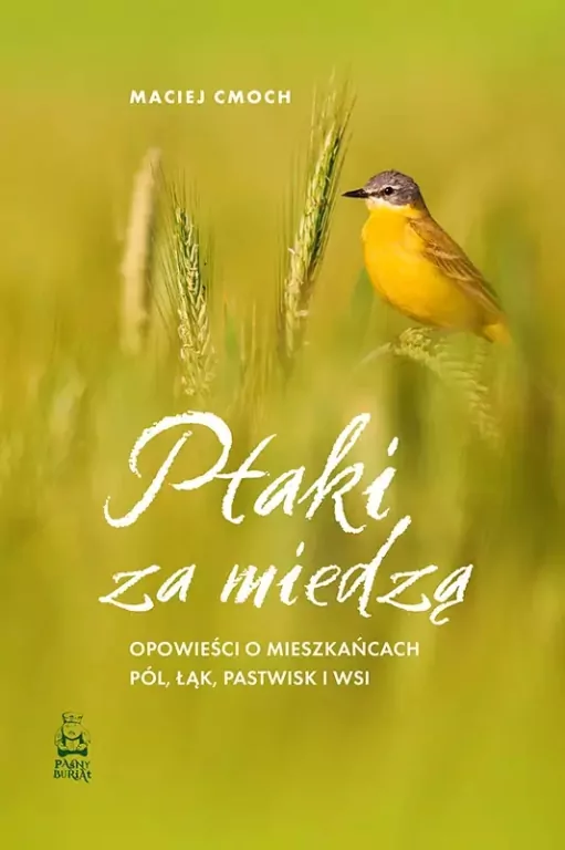 Ptaki za miedzą - tantis.pl