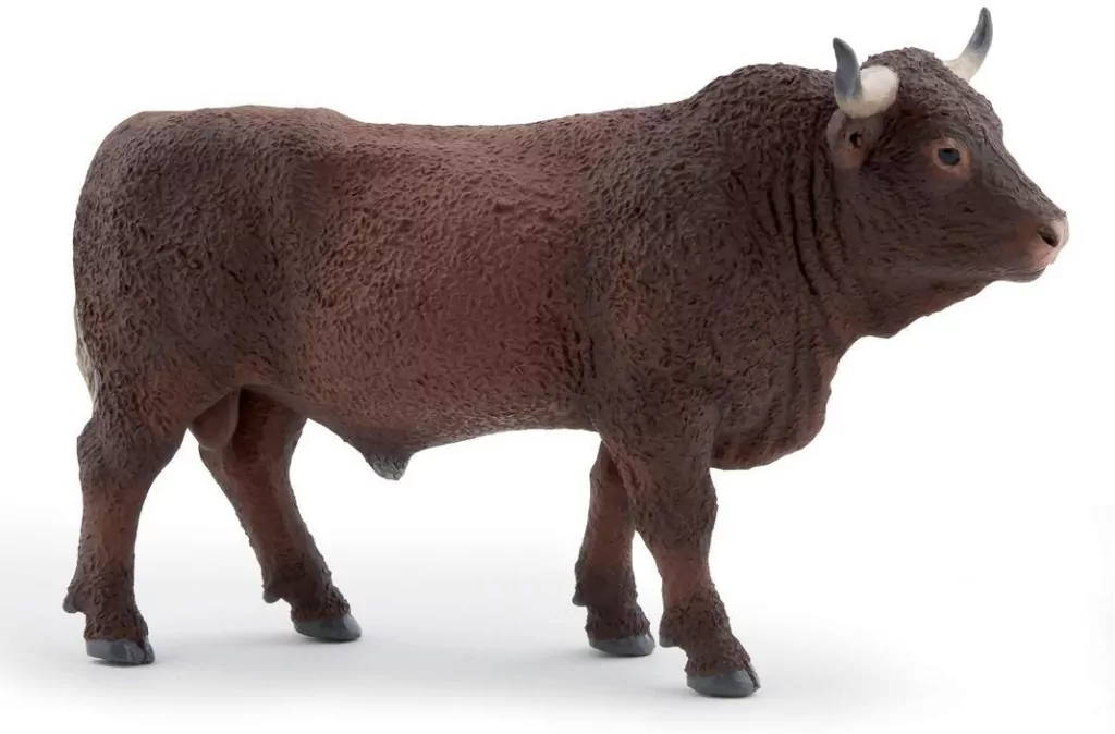 Byk Salers - tantis.pl