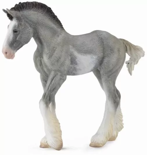 Źrebię Clydesdale Black Sabino Roan M) - tantis.pl