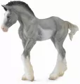 Źrebię Clydesdale Black Sabino Roan M) - tantis.pl