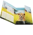 Teczka z gumką A4 Wild Animal mix - tantis.pl