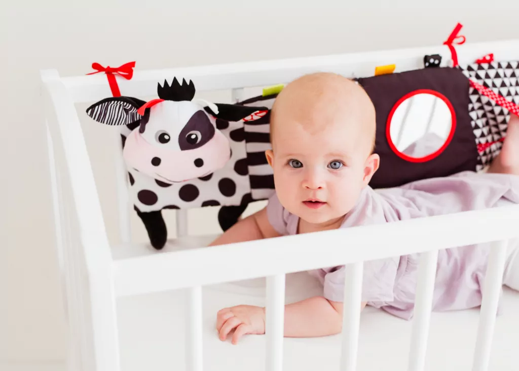 Książeczka - harmonijka krówka - tantis.pl