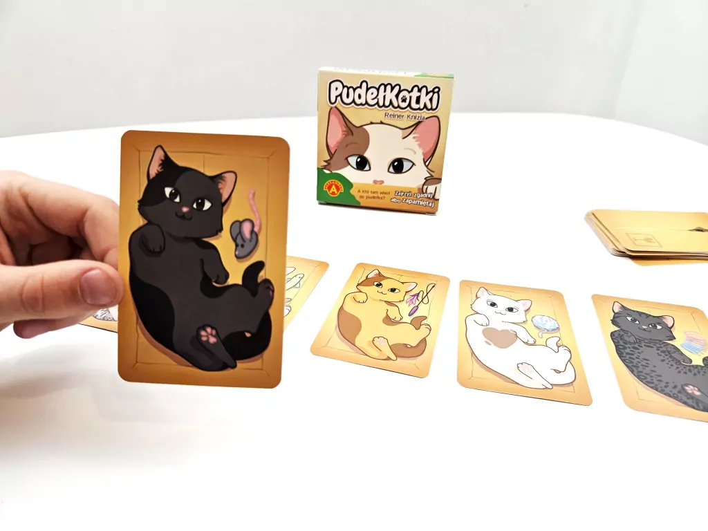 PudełKotki - tantis.pl