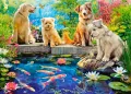 Puzzle 120 Koi Pond CASTOR - tantis.pl