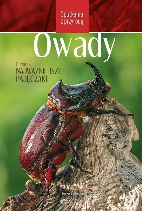 Owady. Spotkania z przyrodą - tantis.pl