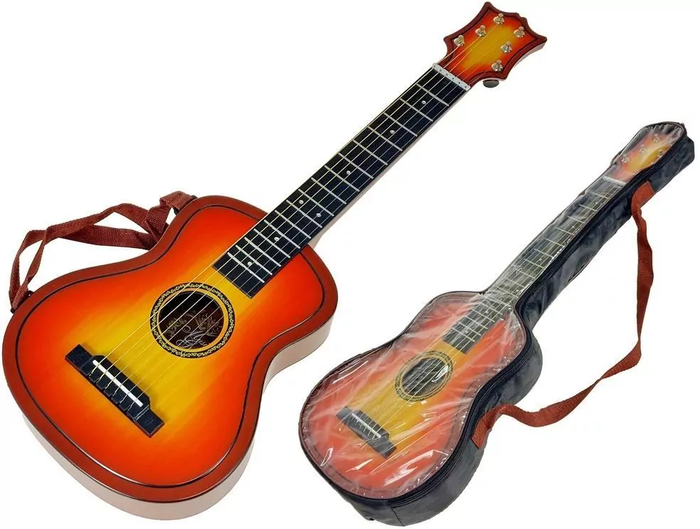 Gitara w pokrowcu - tantis.pl