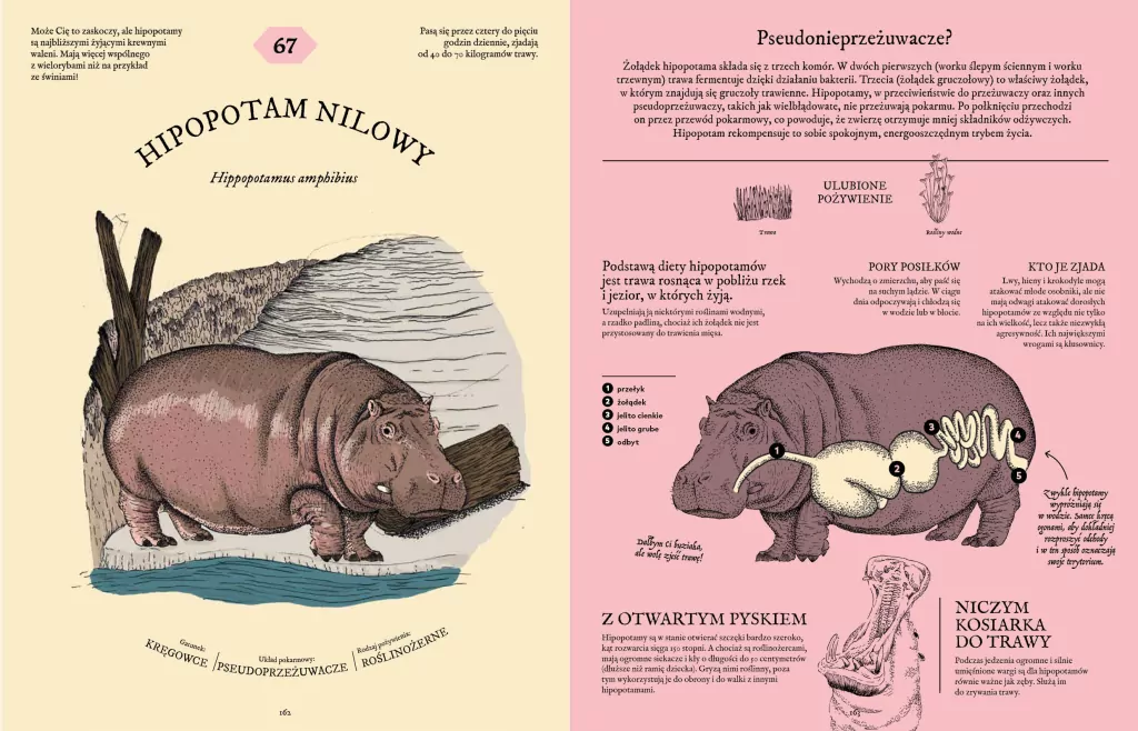 Jak to strawić? Tajemnice układu pokarmowego zwierząt - tantis.pl