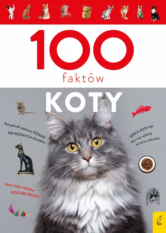 100 faktów. Koty - tantis.pl