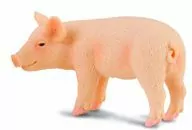 Prosię stojące - tantis.pl