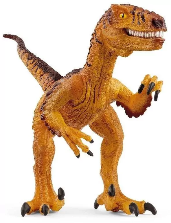 Welociraptor - tantis.pl