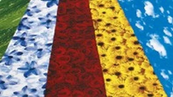 Karton dekorac 270g 23x33cm 5 arkuszy - tantis.pl