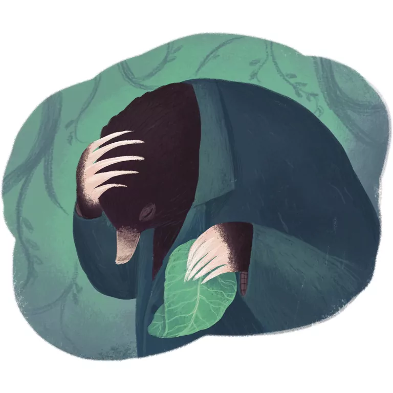 Pazury Gniewu. Zwierzęce zbrodnie. Tom 3 - tantis.pl