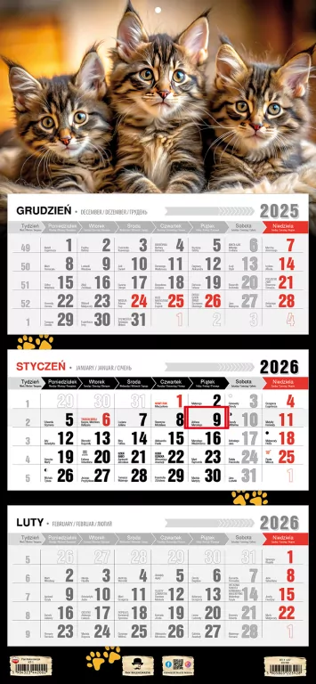 Kalendarz 2026 trójdzielny płaska główka kotki - tantis.pl