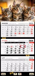 Kalendarz 2026 trójdzielny płaska główka kotki