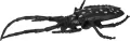 ZWIERZ OWADY 21X30X4 MC PBH 72/144 - tantis.pl