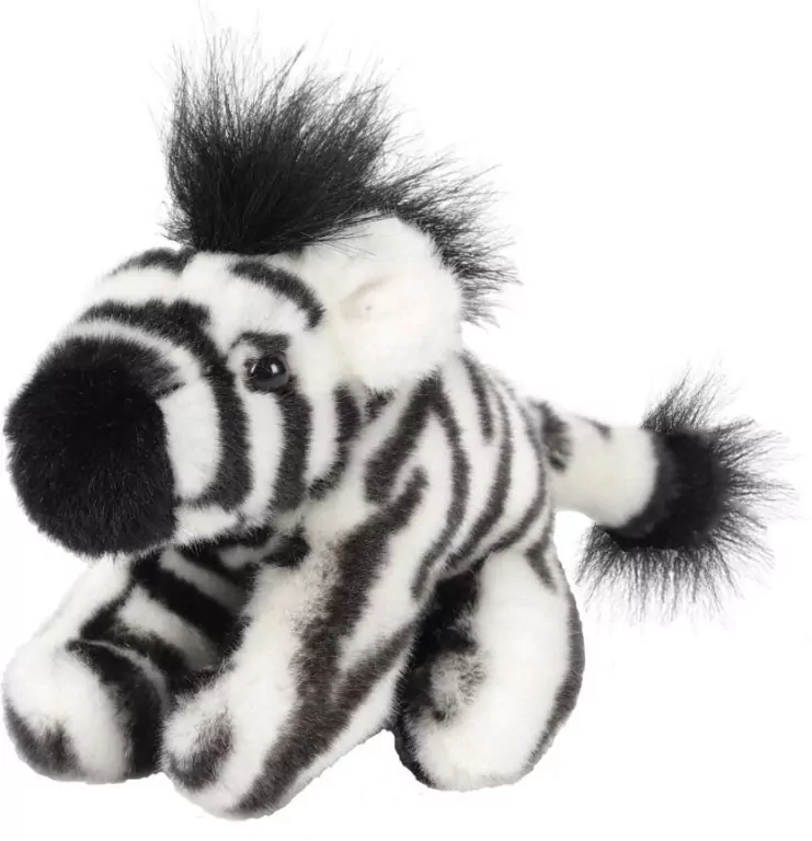 Zebra 13cm - tantis.pl