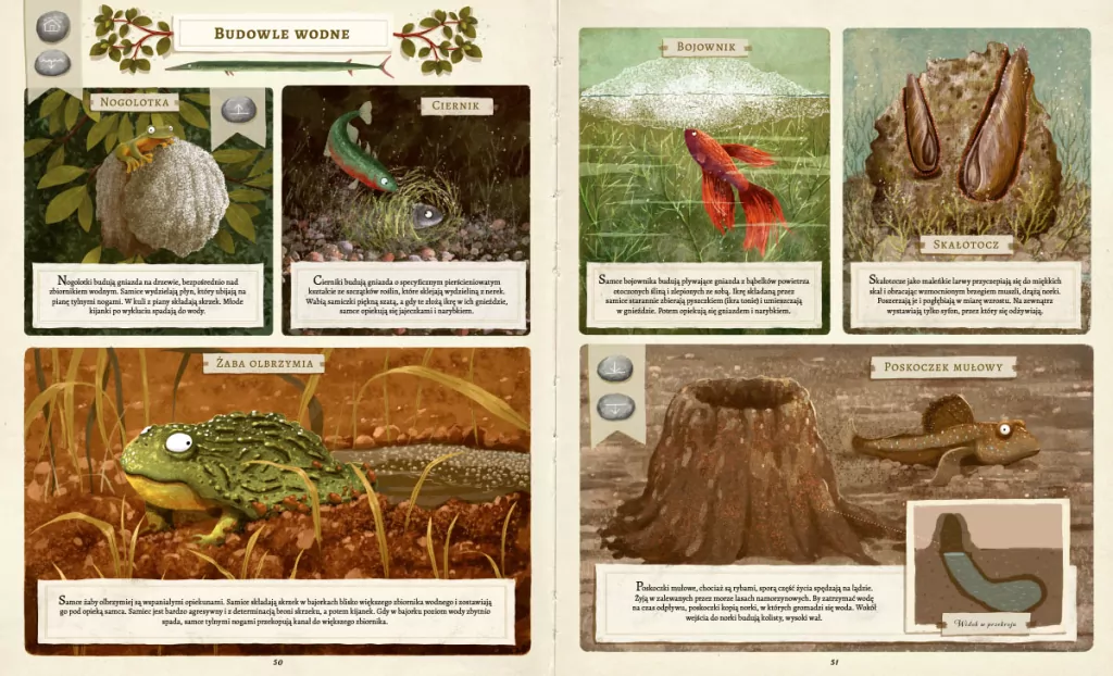 Co budują zwierzęta? - tantis.pl