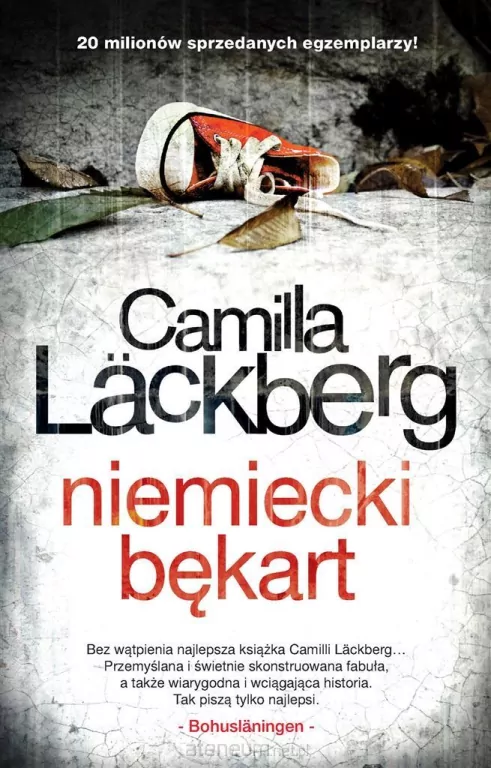Niemiecki bękart. Fjllbacka. Tom 5 - tantis.pl