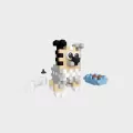 Mini Waffle - Pocket Pets Puppies - Sheltie - tantis.pl