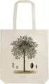 Torba bawełniana. Drzewo oliwne - tantis.pl