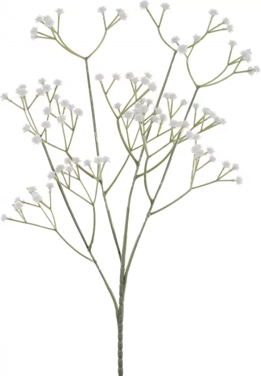 Gipsówka biała 62cm - tantis.pl