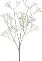 Gipsówka biała 62cm - tantis.pl