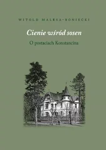 Cienie wśród sosen. O postaciach Konstancina - tantis.pl
