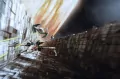 The Deckbuilding Game. Star Wars. Edycja polska - tantis.pl