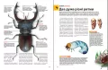 Велика книга комах - tantis.pl