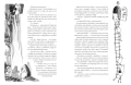 Muminki zebrane. Tom I - tantis.pl