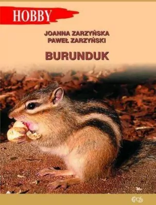 Burunduk