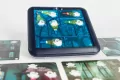 Ghost Hunters. Smart Games - tantis.pl