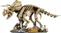 LEGO® Szkielety dinozaurów: triceratops 77985 - tantis.pl