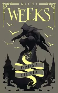 Trylogia Anioła Nocy. Droga Cienia. Tom 1