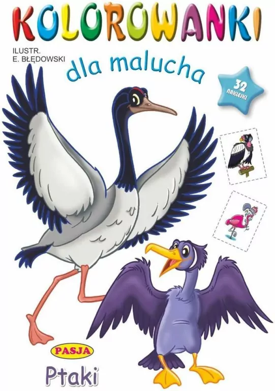 Ptaki. Kolorowanki dla malucha - tantis.pl