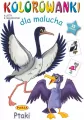 Ptaki. Kolorowanki dla malucha - tantis.pl