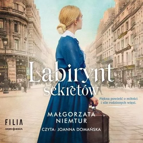Labirynt sekretów audiobook - tantis.pl