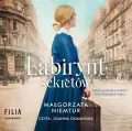 Labirynt sekretów audiobook - tantis.pl
