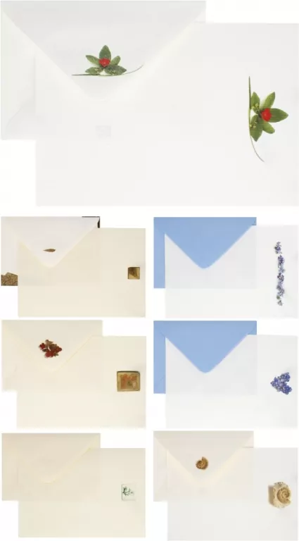 Lobos. Papeteria A5, 3 koperty/3 kartki, ekskluzywna - tantis.pl