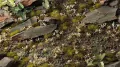 Gamers Grass: White Lily Tiny Flowers - tantis.pl
