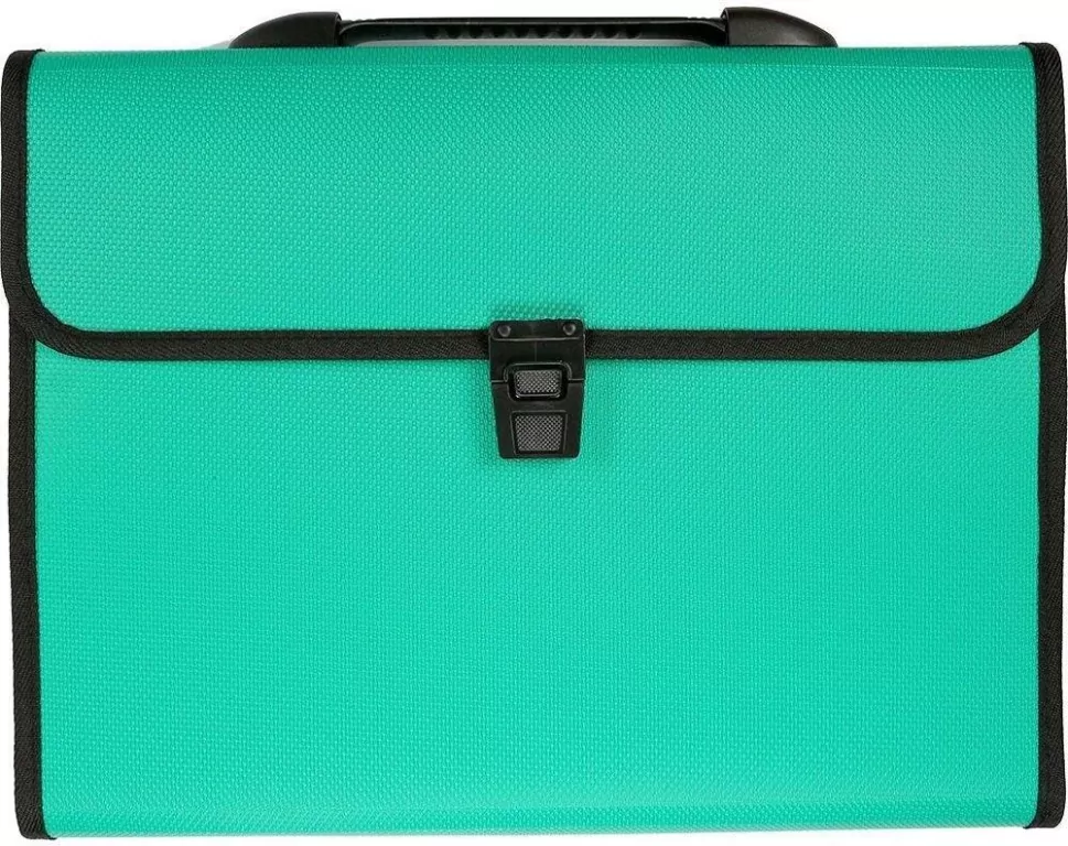 Teczka A4 z rączką 12 przegródek zielona - tantis.pl